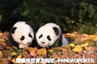 陈正清